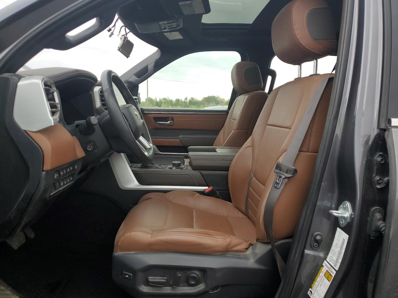 2022 Toyota Tundra Crewmax Platinum VIN: 5TFMA5DB6NX004981 Lot: 84383695