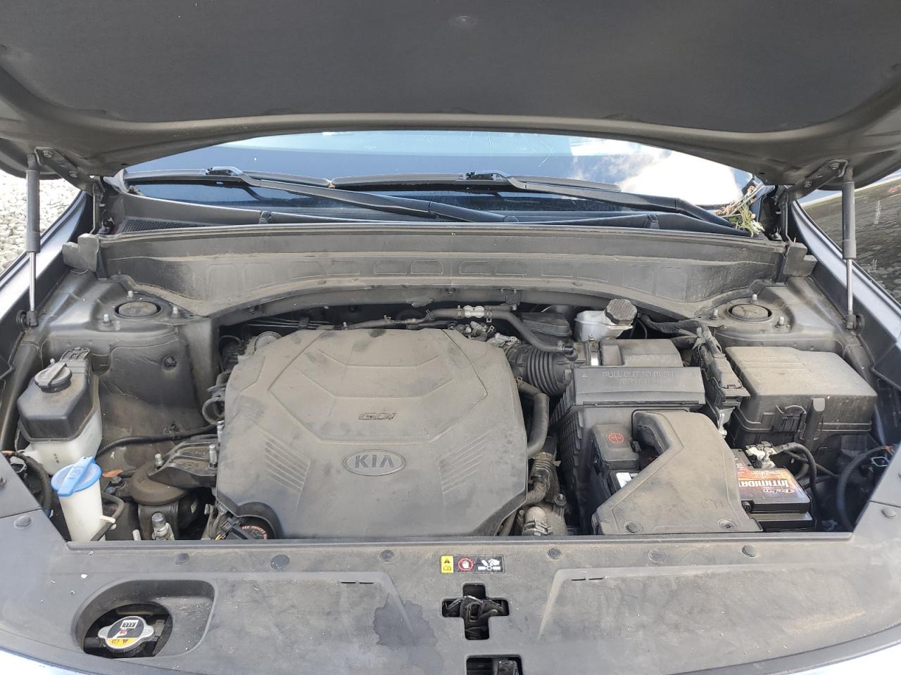 2020 Kia Telluride Sx VIN: 5XYP5DHC7LG079378 Lot: 81420375