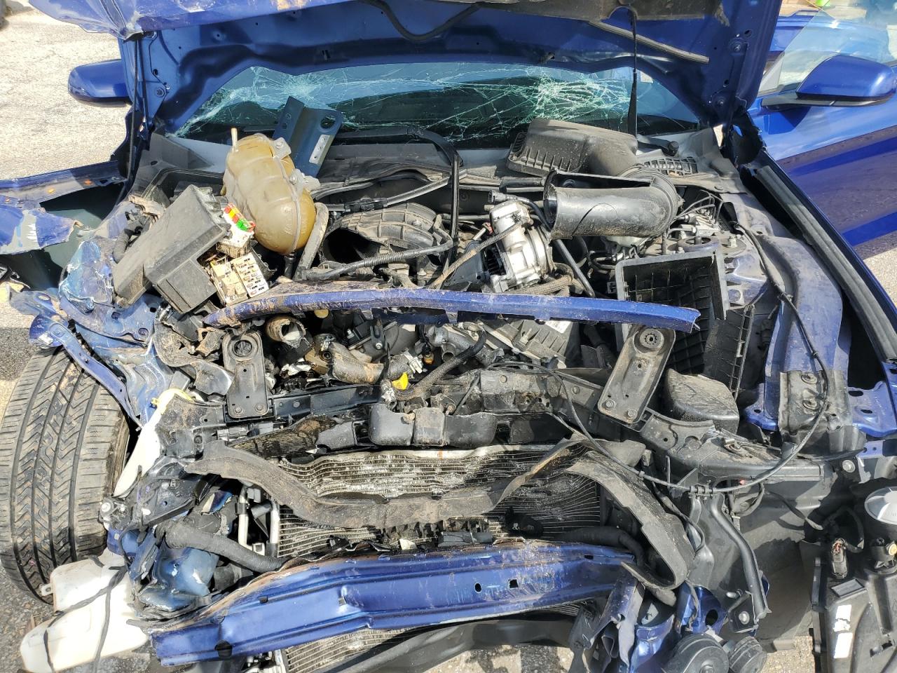 2015 Ford Mustang VIN: 1FA6P8AM3F5362685 Lot: 84782285