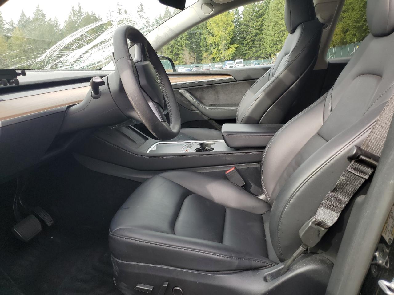 2023 Tesla Model Y VIN: 7SAYGAEE9PF969741 Lot: 81771685