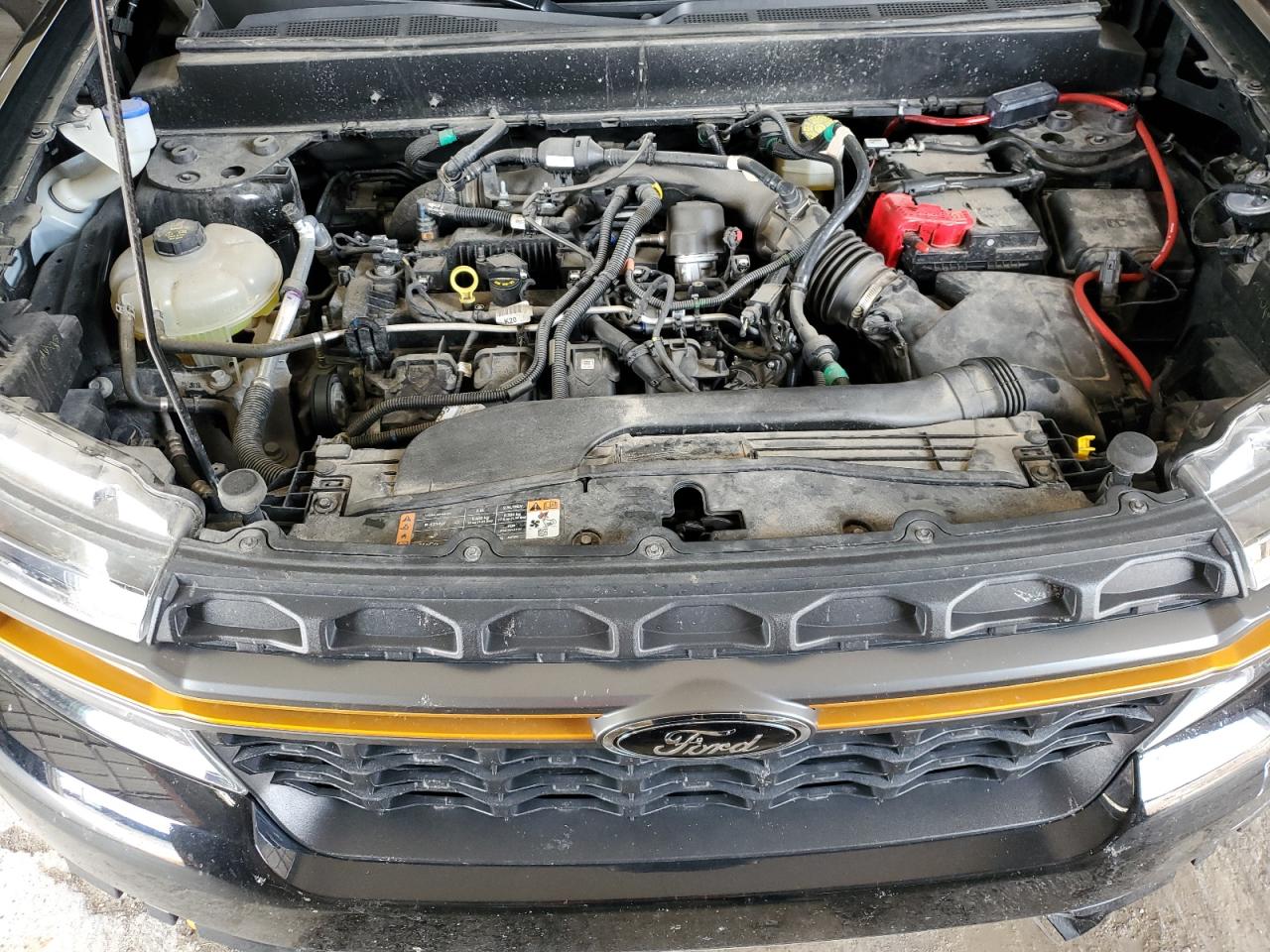 2023 Ford Maverick Xlt VIN: 3FTTW8G99PRA70184 Lot: 71279545