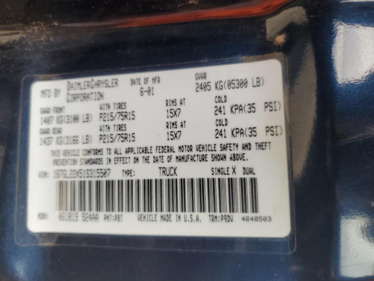 2001 Dodge Dakota VIN: 1B7GL22X51S315507 Lot: 81215575