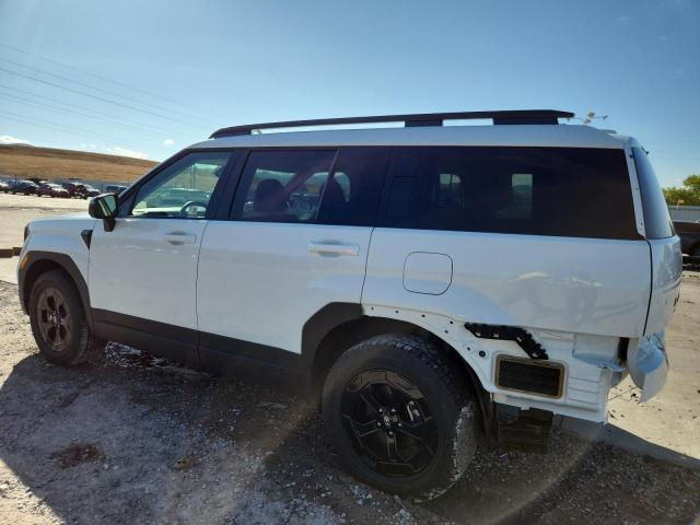 HYUNDAI SANTA FE 2025 Белы