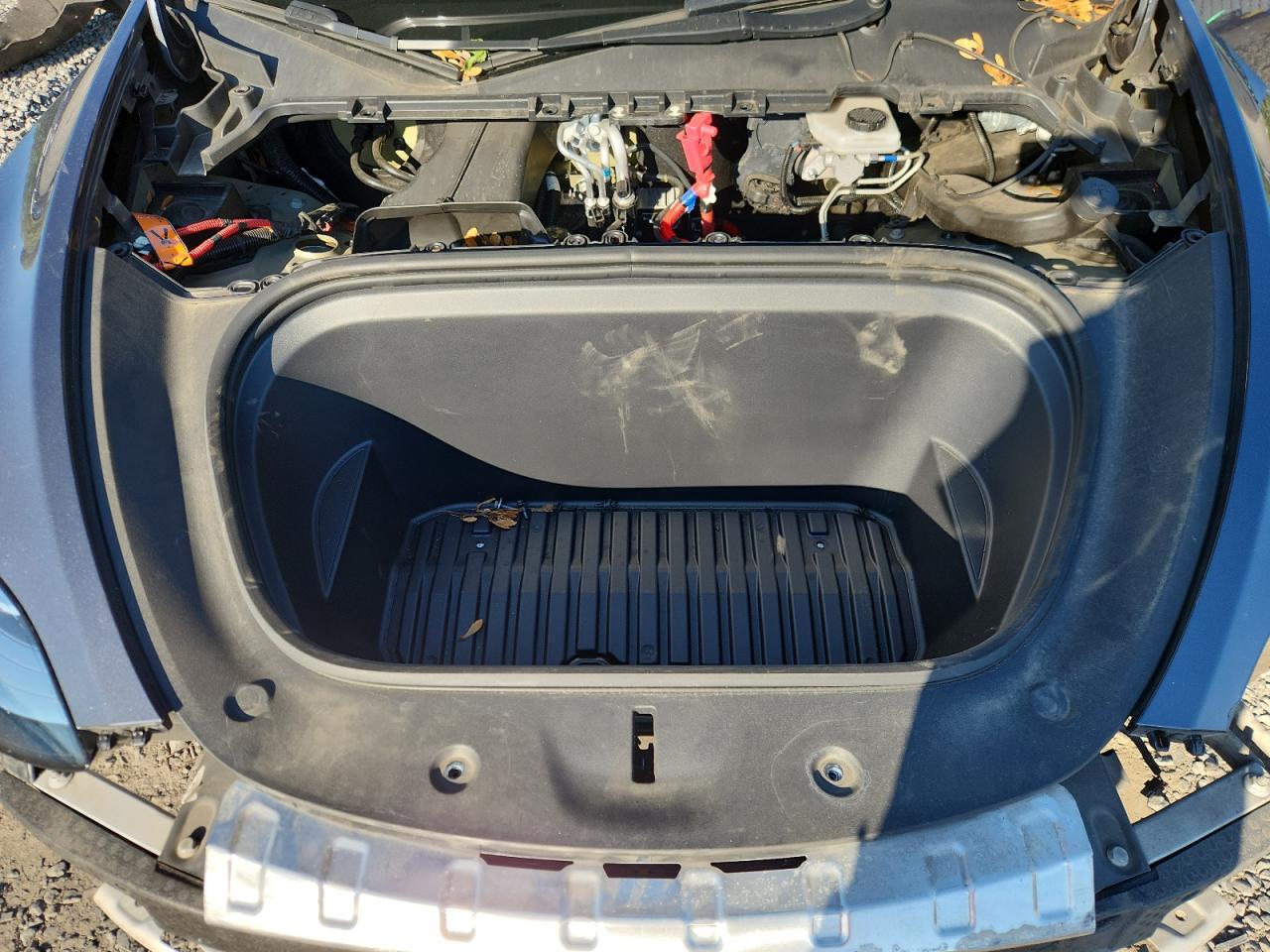 2023 Tesla Model Y VIN: 7SAYGDEE4PA100737 Lot: 80720965