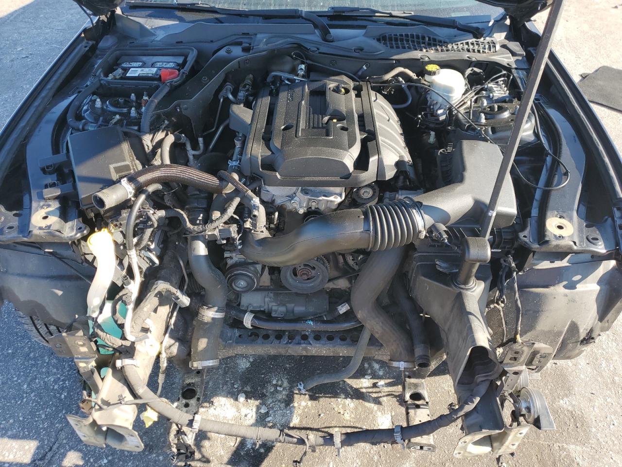 2015 Ford Mustang VIN: 1FA6P8TH3F5416891 Lot: 80433255