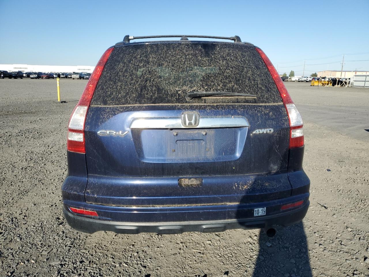 2010 Honda Cr-V Exl VIN: 5J6RE4H73AL036101 Lot: 81516145