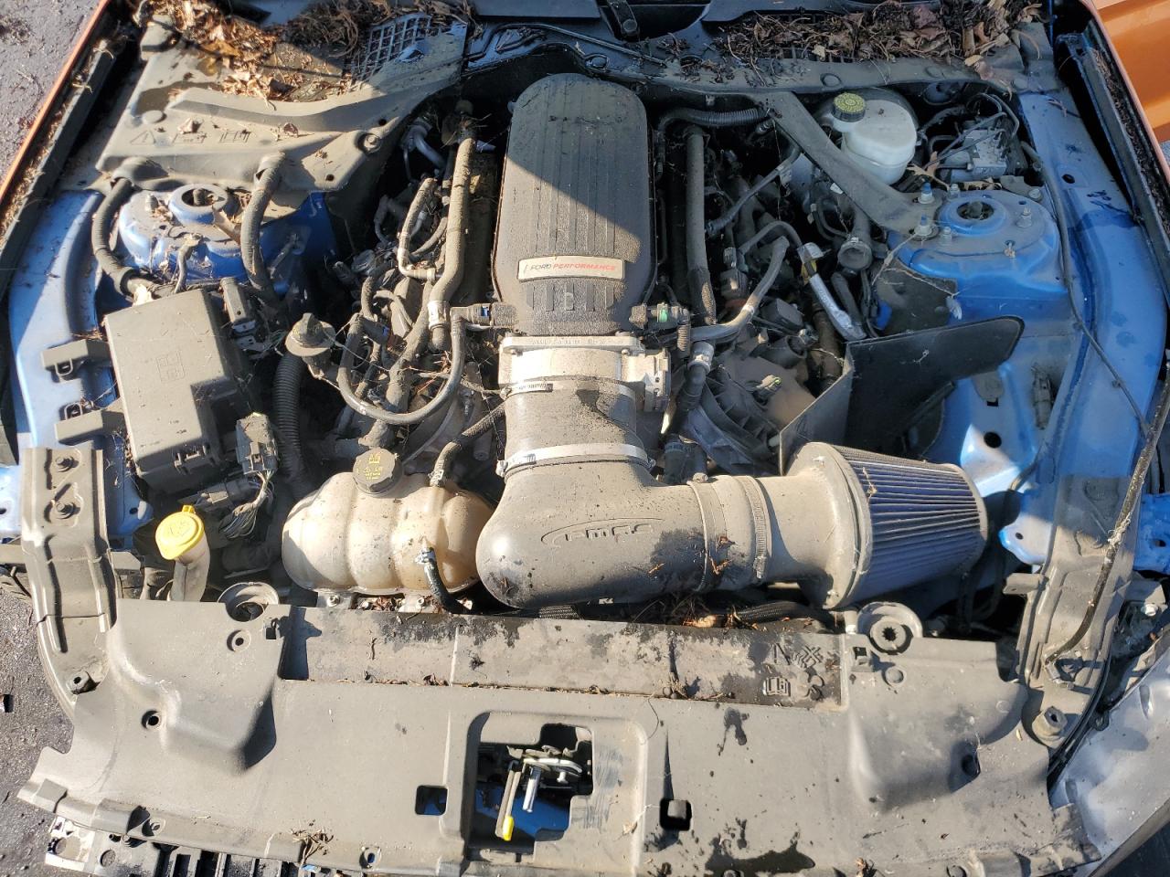 2019 Ford Mustang Gt VIN: 1FA6P8CFXK5174318 Lot: 80312855