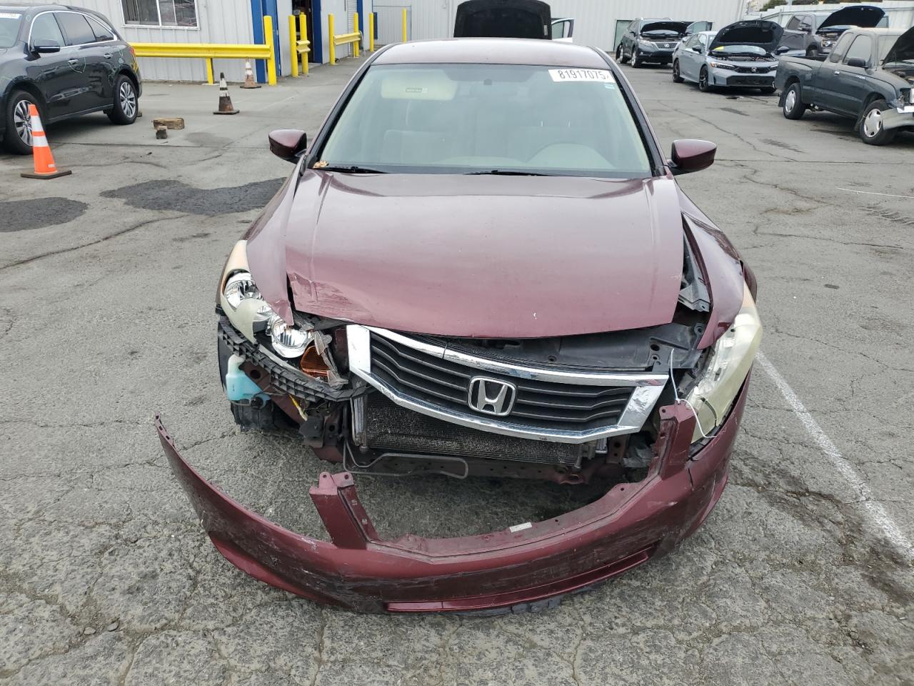 2009 Honda Accord Lxp VIN: 1HGCP26429A136301 Lot: 81917075