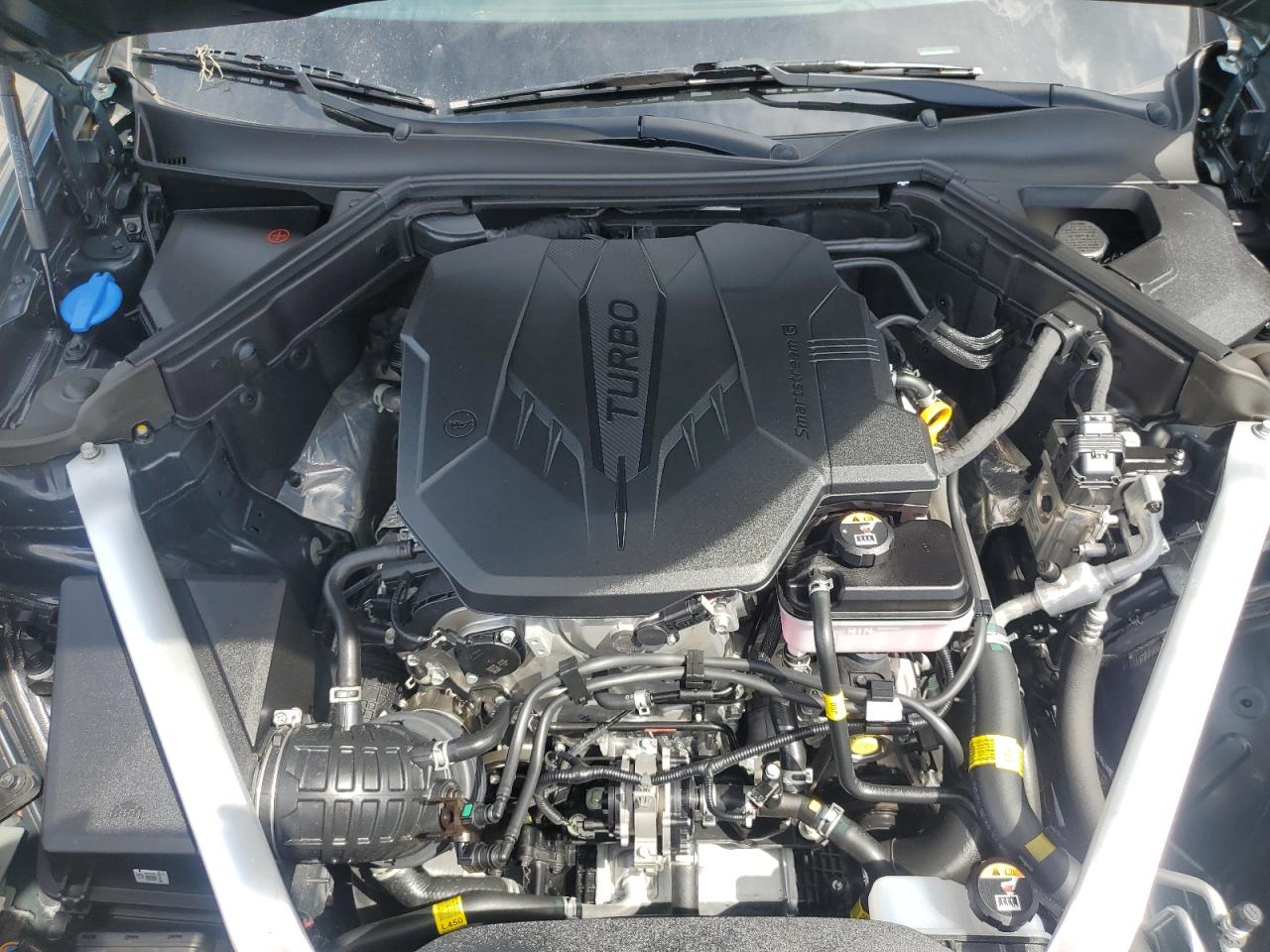 2023 Kia Stinger Gt Line VIN: KNAE35LD6P6133472 Lot: 82119415