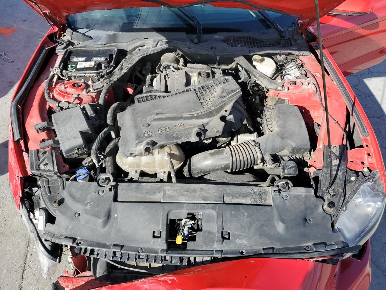 2020 Ford Mustang VIN: 1FATP8UHXL5119954 Lot: 80410035