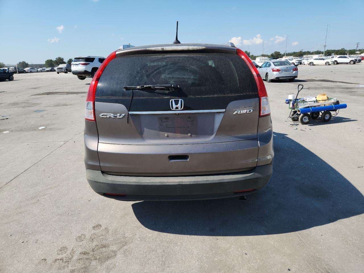 2013 Honda Cr-V Exl VIN: 5J6RM4H70DL052439 Lot: 81291655