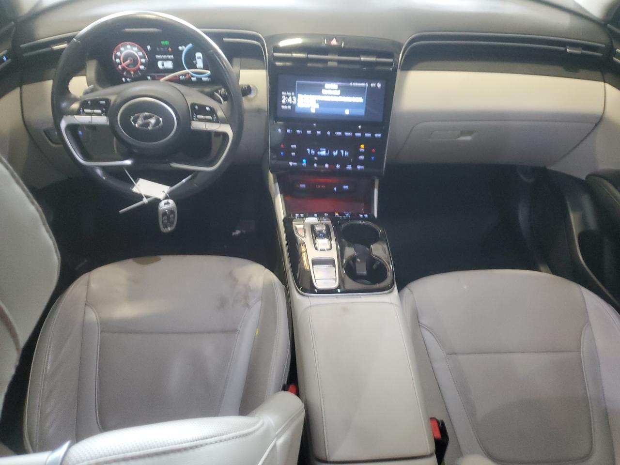 2023 Hyundai Tucson Limited VIN: 5NMJE3AE8PH196085 Lot: 81489965