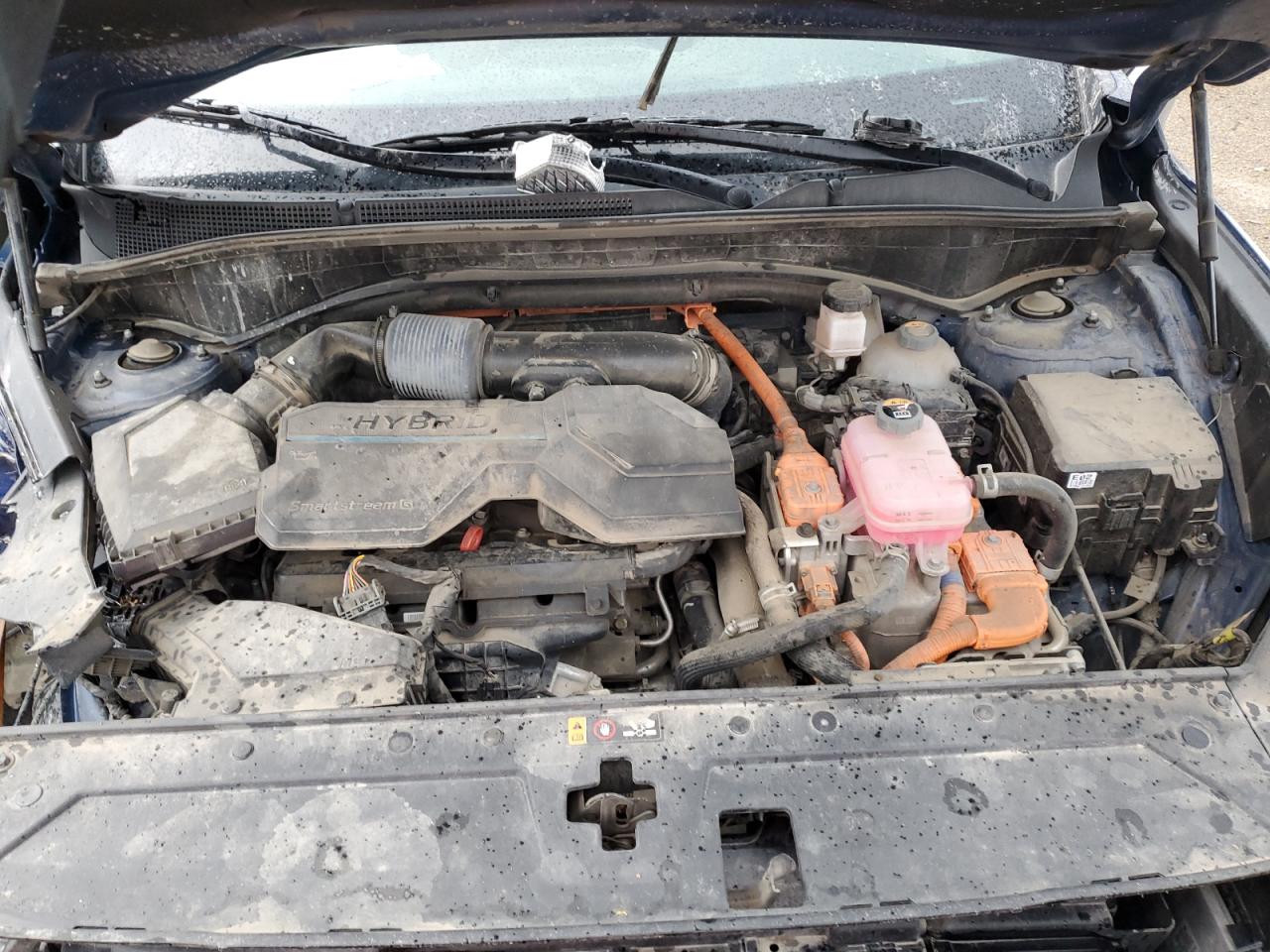 2023 Hyundai Santa Fe Sel Premium VIN: 5NMS3DA16PH004336 Lot: 71832605