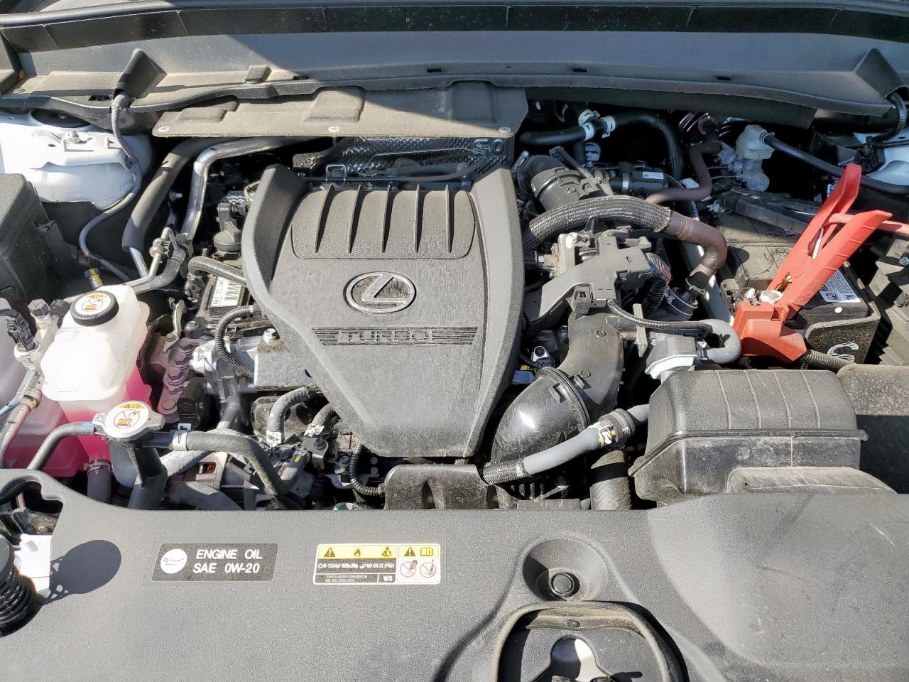 2025 Lexus Tx 350 Base VIN: 5TDAAAB65SS025646 Lot: 84398445