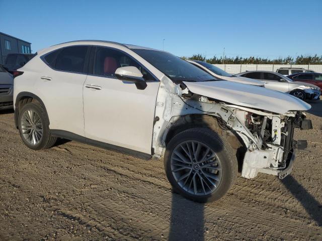  LEXUS NX 350 2022 Белы