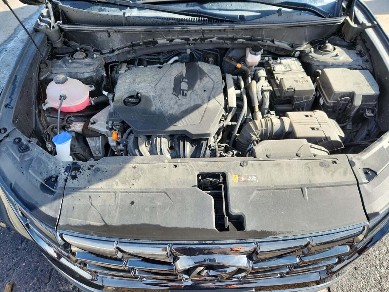 2022 Hyundai Tucson Limited VIN: 5NMJECAE4NH073462 Lot: 72083175