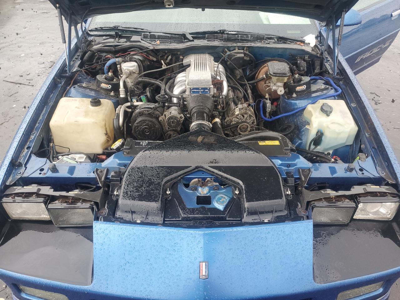 1989 Chevrolet Camaro VIN: 1G1FP2181KL111821 Lot: 80259745