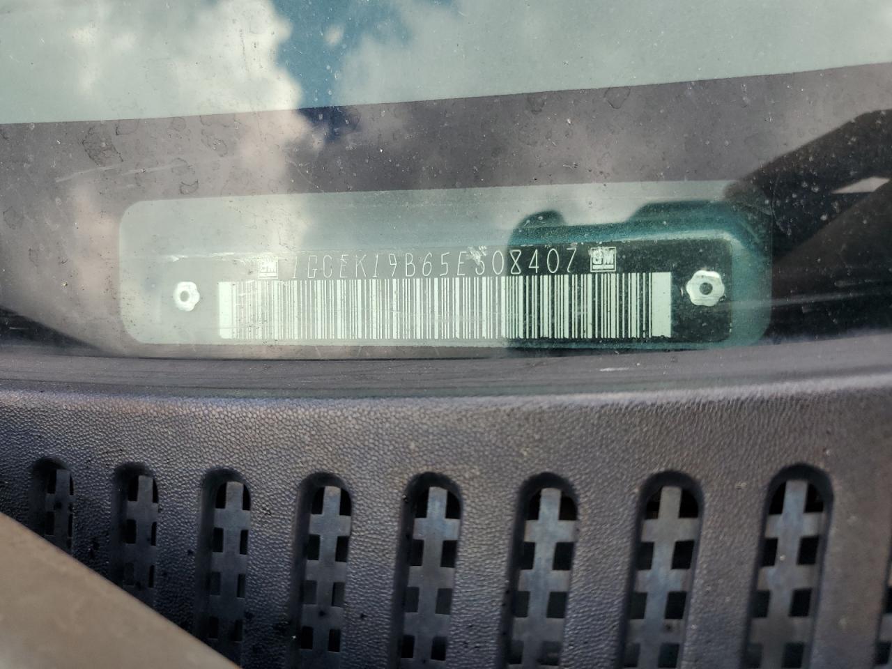 2005 Chevrolet Silverado K1500 VIN: 1GCEK19B65E308407 Lot: 81866665