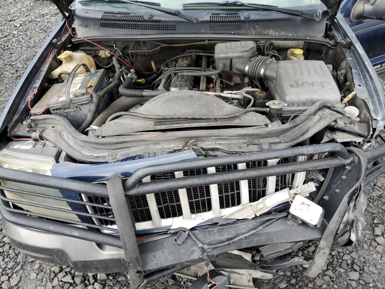 2004 Jeep Grand Cherokee Laredo VIN: 1J4GW48S14C295098 Lot: 81502635