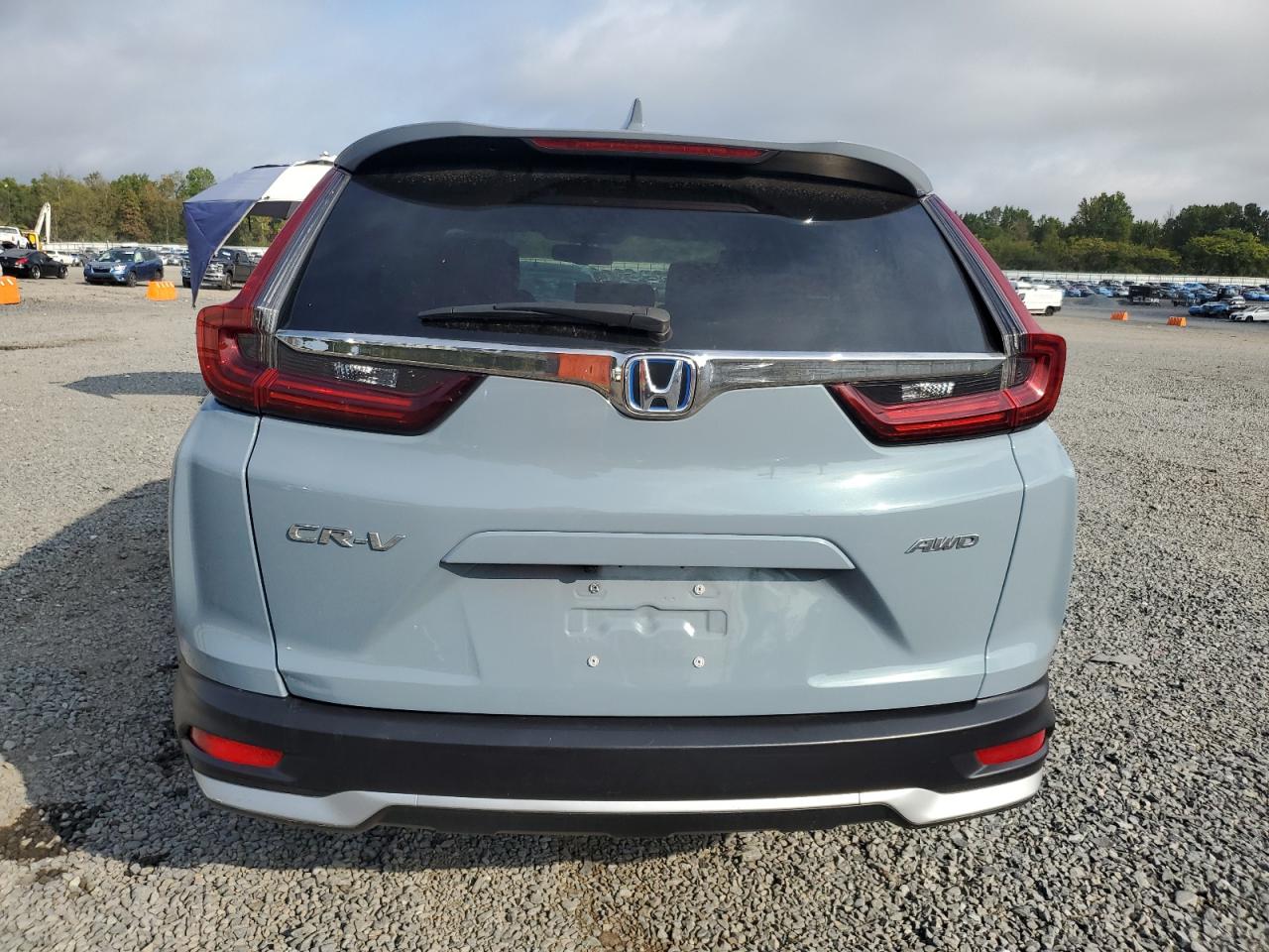 2022 Honda Cr-V Exl VIN: 5J6RT6H84NL004242 Lot: 81383955