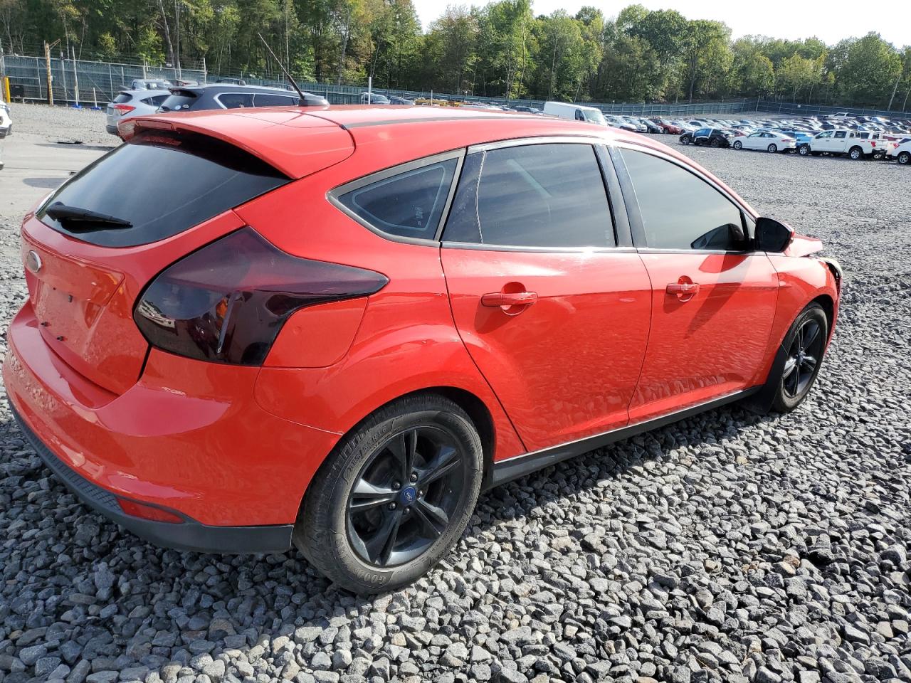 2014 Ford Focus Se VIN: 1FADP3K28EL402552 Lot: 81643005