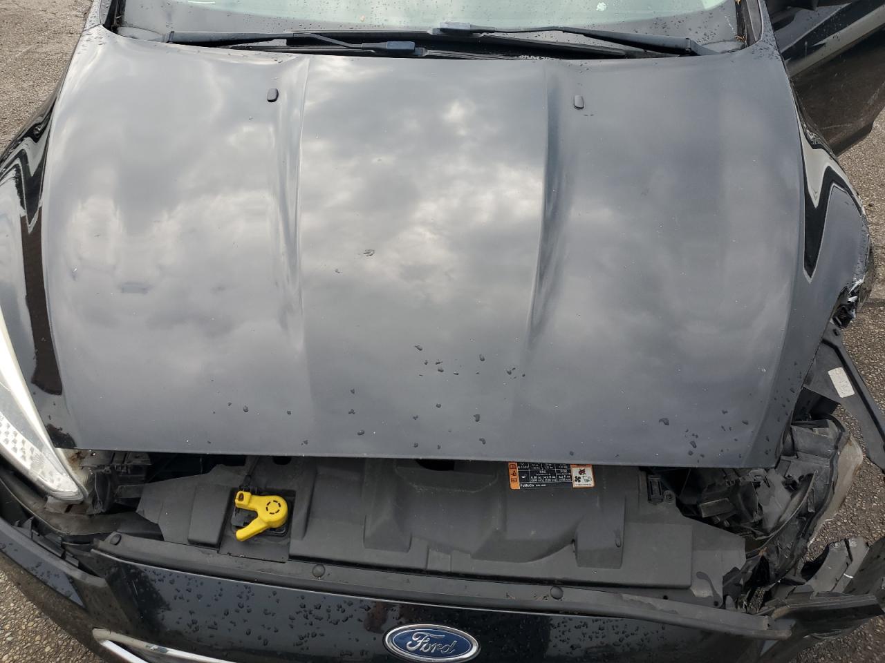 2016 Ford Focus S VIN: 1FADP3E21GL343455 Lot: 81798565