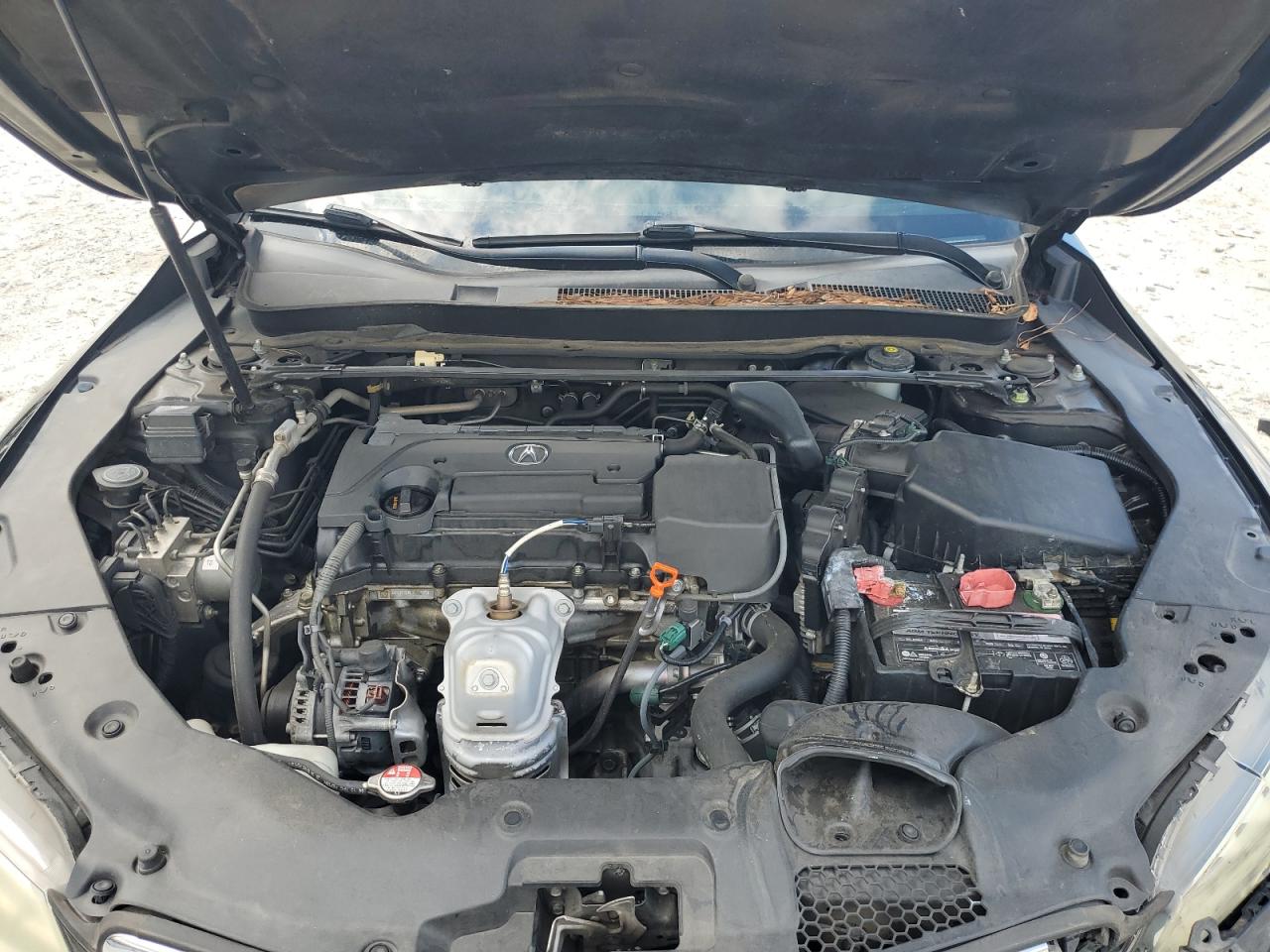 2016 Acura Tlx VIN: 19UUB1F32GA003054 Lot: 81824715