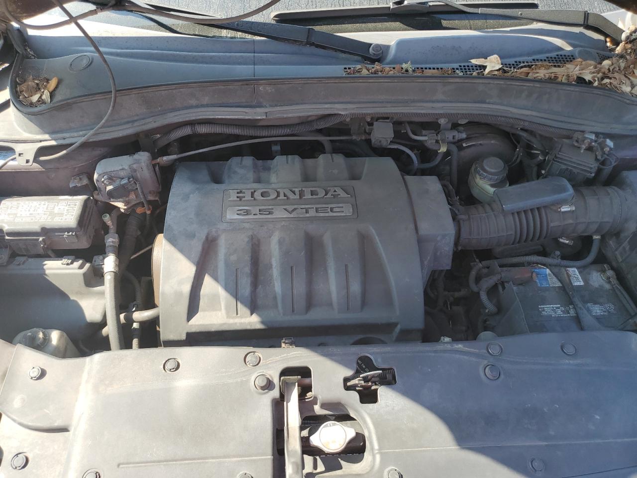 2007 Honda Pilot Exl VIN: 5FNYF18507B023670 Lot: 80184245