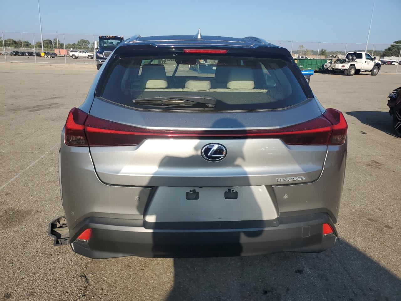 2020 Lexus Ux 250H VIN: JTHP9JBH0L2020043 Lot: 81809195