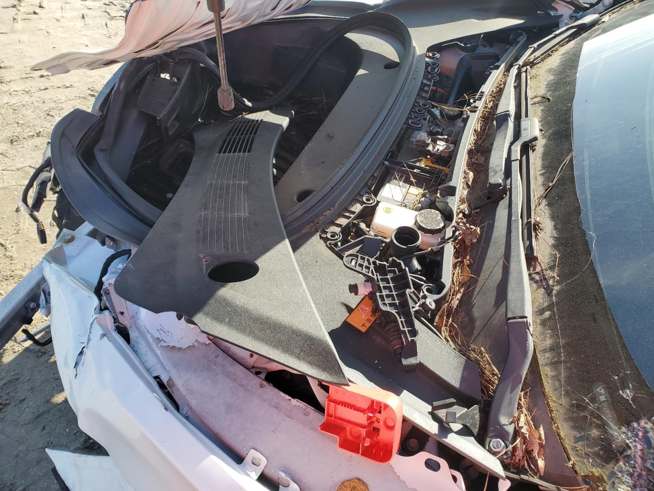 2021 Tesla Model 3 VIN: 5YJ3E1EA8MF921606 Lot: 80292935