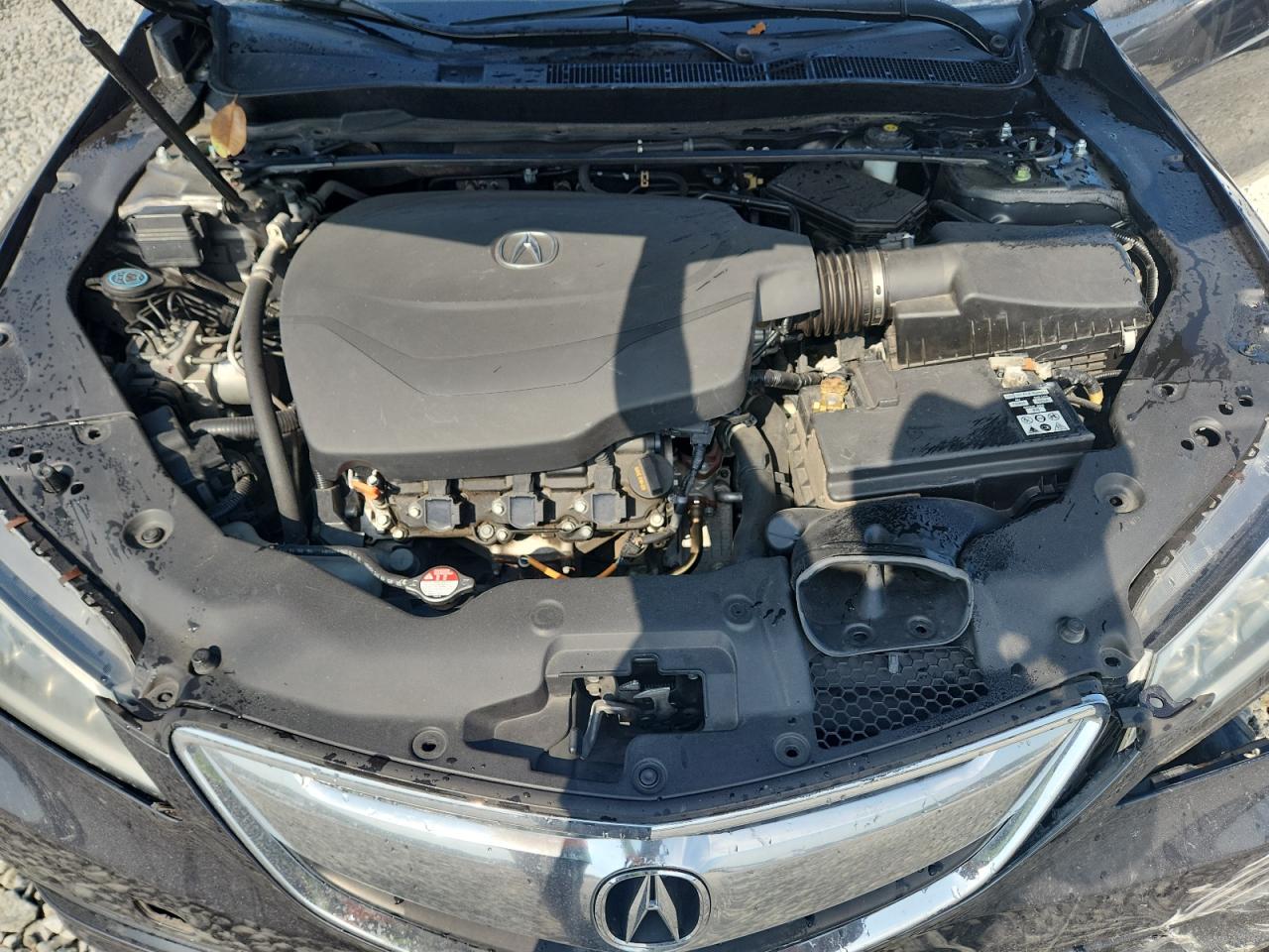 2016 Acura Tlx VIN: 19UUB2F30GA007531 Lot: 80161315