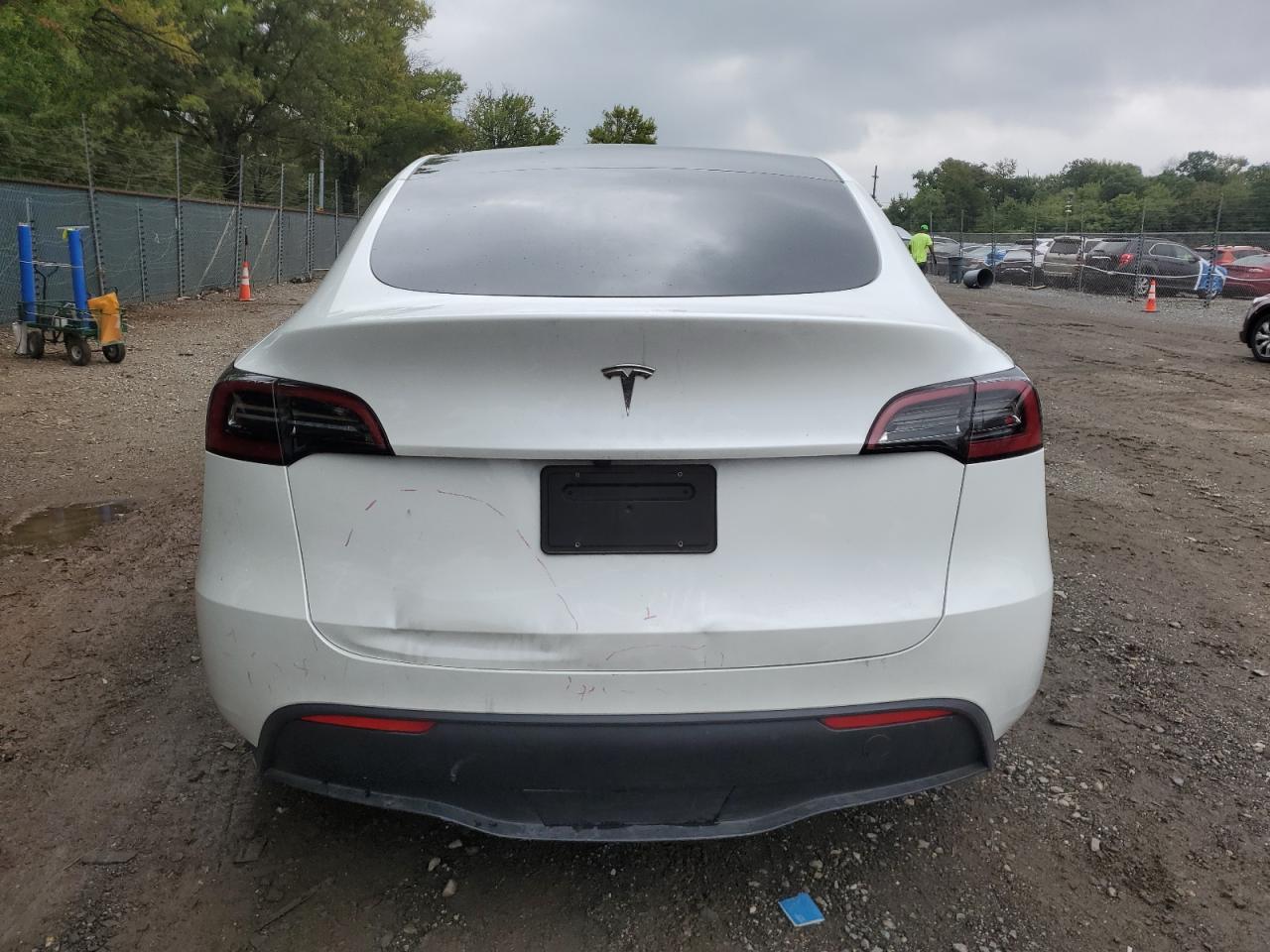 2024 Tesla Model Y VIN: 7SAYGDED4RF153032 Lot: 84019125