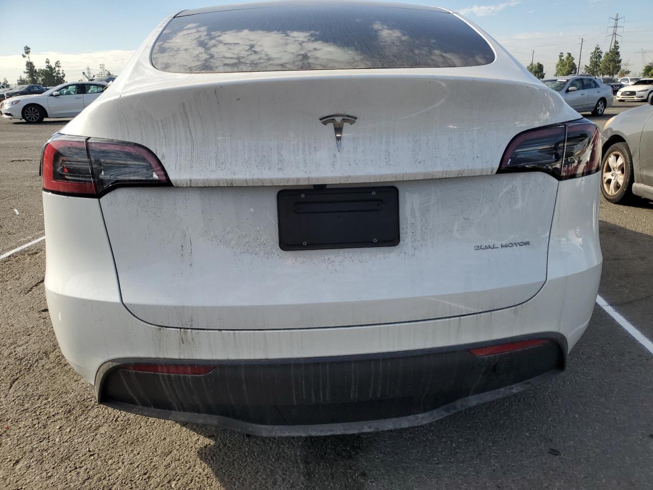2024 Tesla Model Y VIN: 7SAYGAEE4RF176544 Lot: 81506075