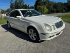 2005 MERCEDES-BENZ E 500 à vendre chez Copart FL - TAMPA SOUTH