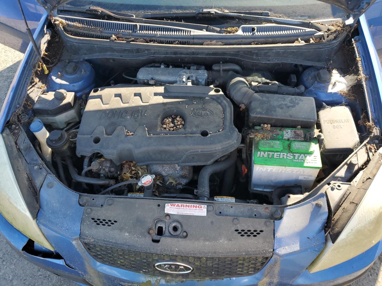 2007 Kia Rio 5 Sx VIN: KNADE163576262952 Lot: 71041315