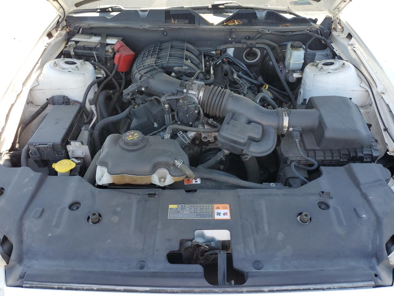 2013 Ford Mustang VIN: 1ZVBP8AM9D5273934 Lot: 71101715