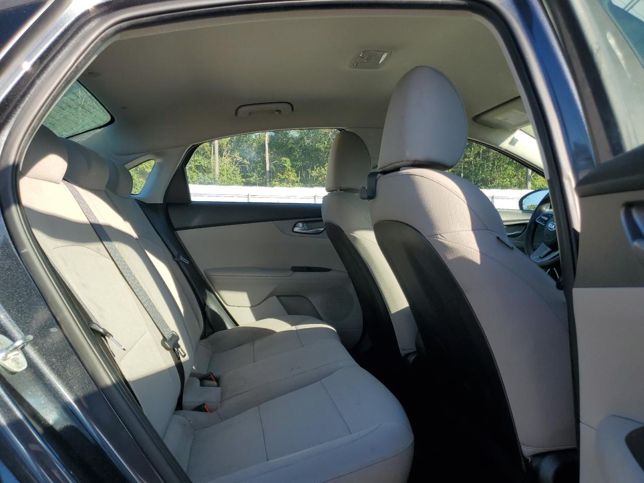 2019 Kia Forte Fe VIN: 3KPF24AD9KE045462 Lot: 81716715