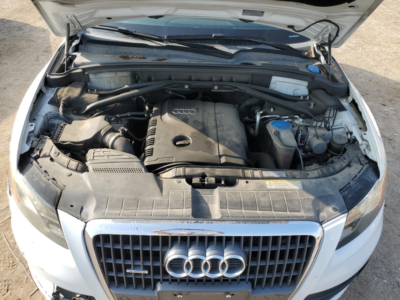 2012 Audi Q5 Premium Plus VIN: WA1LFAFP2CA135561 Lot: 71326275