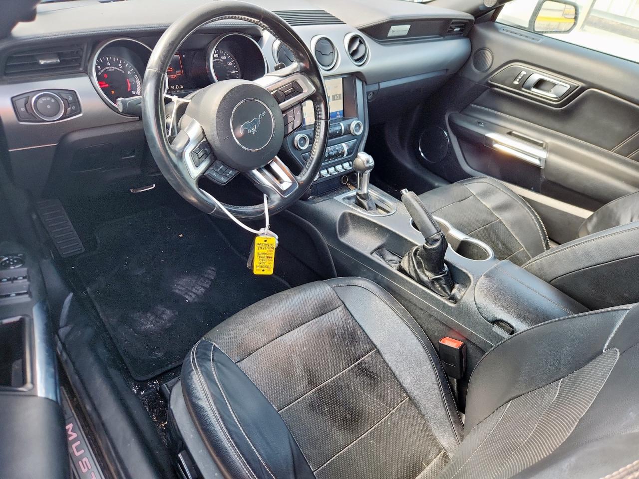 2019 Ford Mustang VIN: 1FATP8UH8K5131373 Lot: 82092825