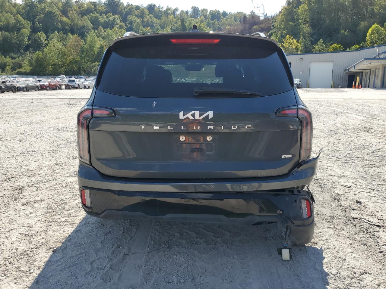 2024 Kia Telluride Ex VIN: 5XYP3DGC5RG423452 Lot: 81030925