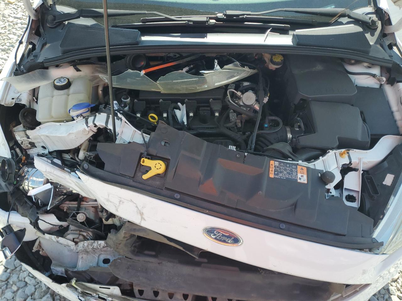 2016 Ford Focus Se VIN: 1FADP3K28GL406572 Lot: 83886085