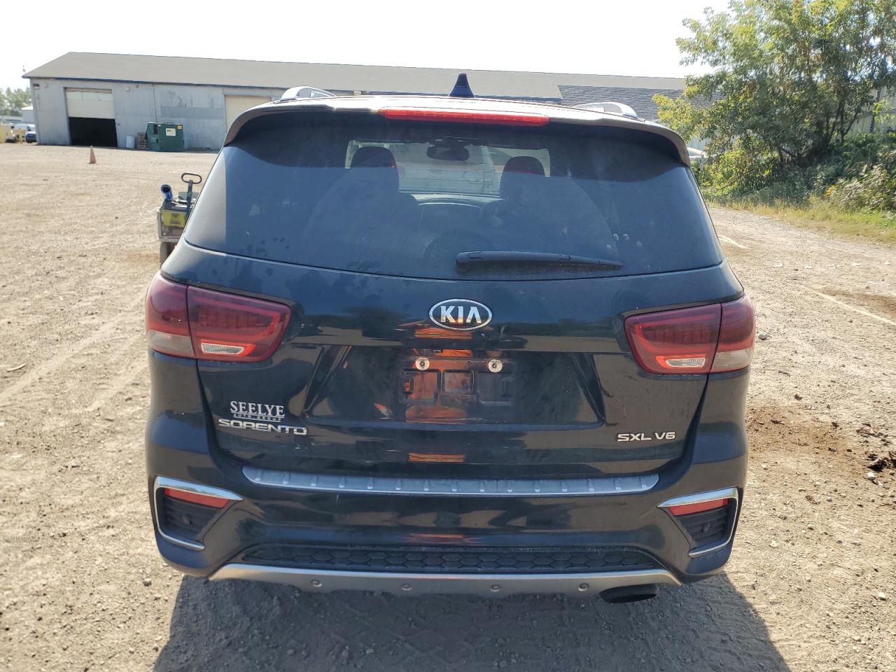2019 Kia Sorento Sx VIN: 5XYPKDA58KG446680 Lot: 80646685