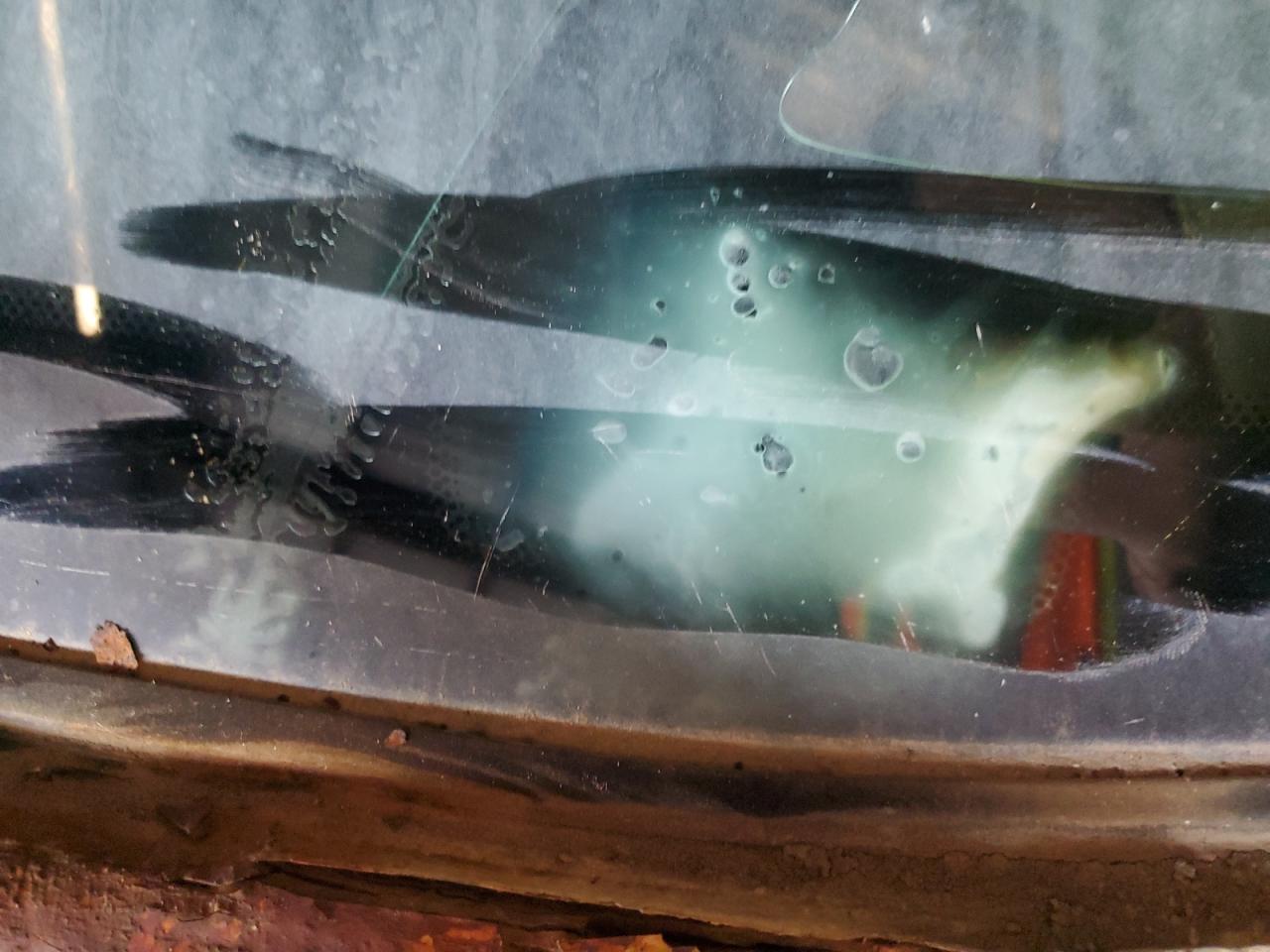 2004 Ford Ranger VIN: 1FTYR10U04PA76431 Lot: 83831385