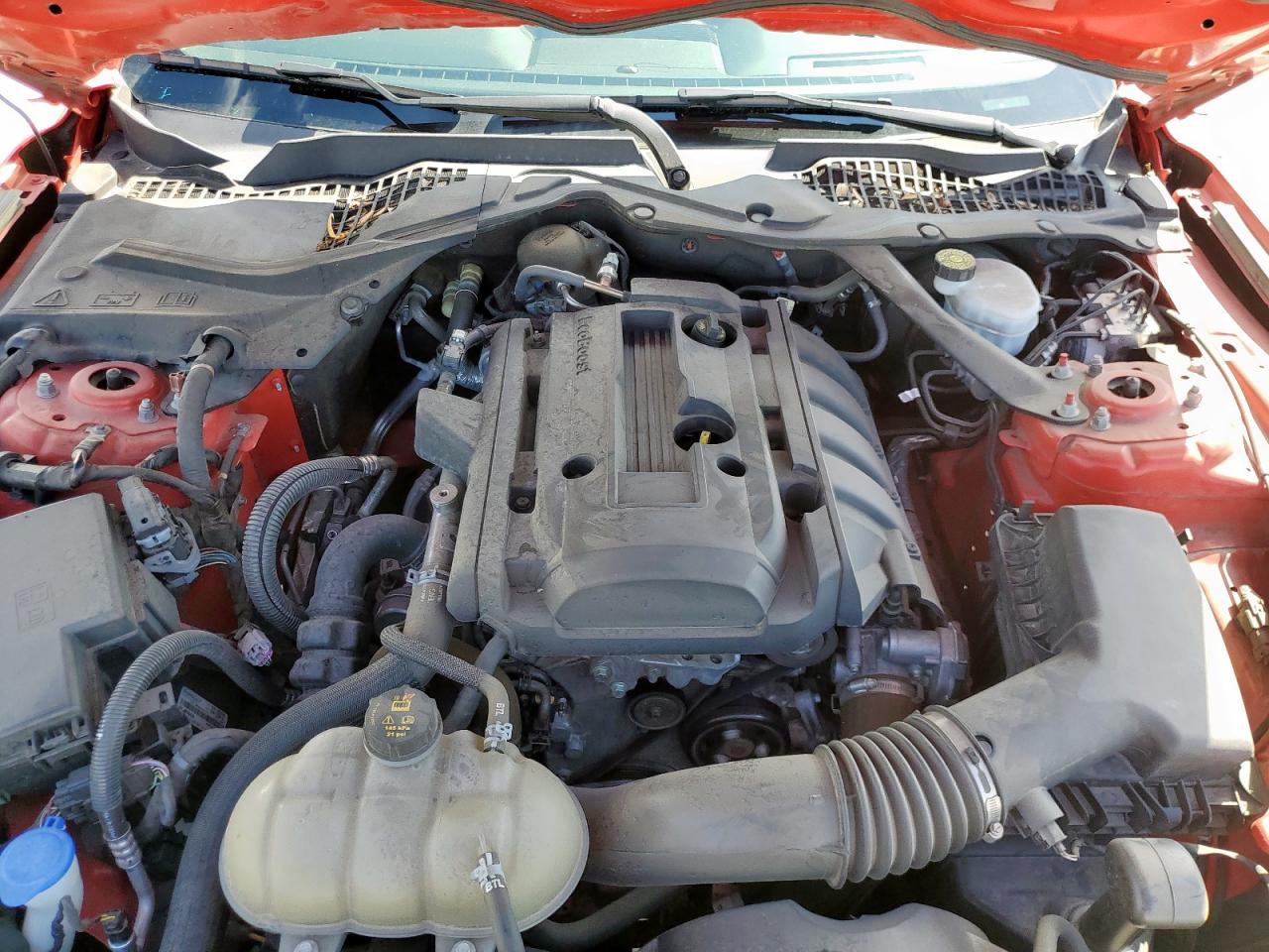 2020 Ford Mustang VIN: 1FATP8UH4L5138578 Lot: 81112865