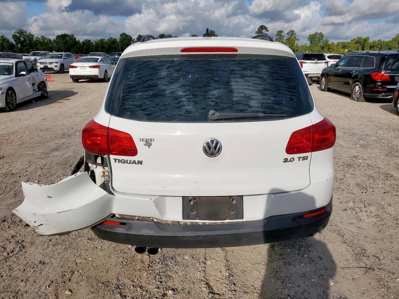 2015 Volkswagen Tiguan S VIN: WVGAV7AX7FW509515 Lot: 81681295