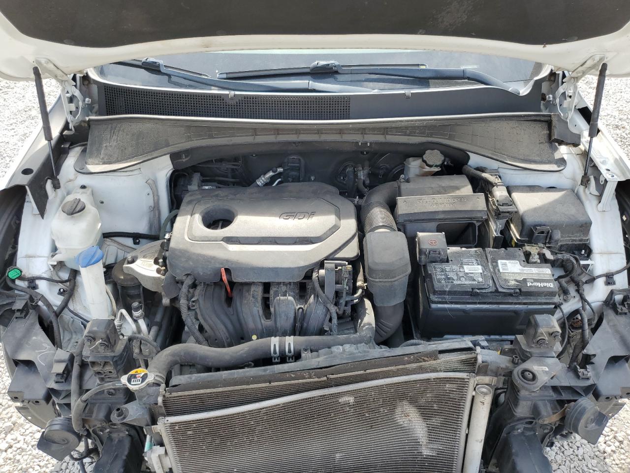 2019 Kia Sorento L VIN: 5XYPGDA30KG573844 Lot: 80303325