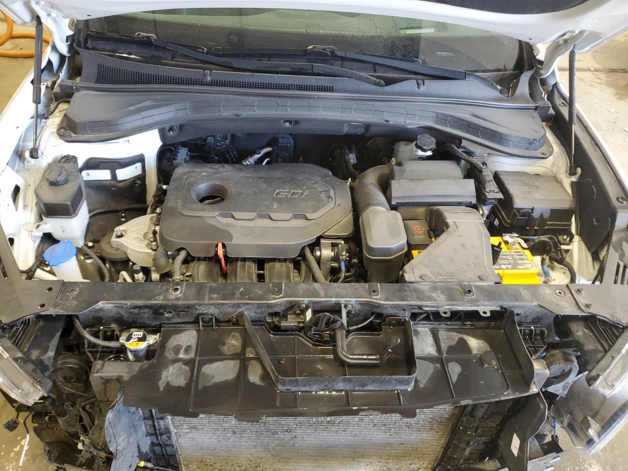 2020 Hyundai Santa Fe Limited VIN: 5NMS5CAD3LH216362 Lot: 80194645