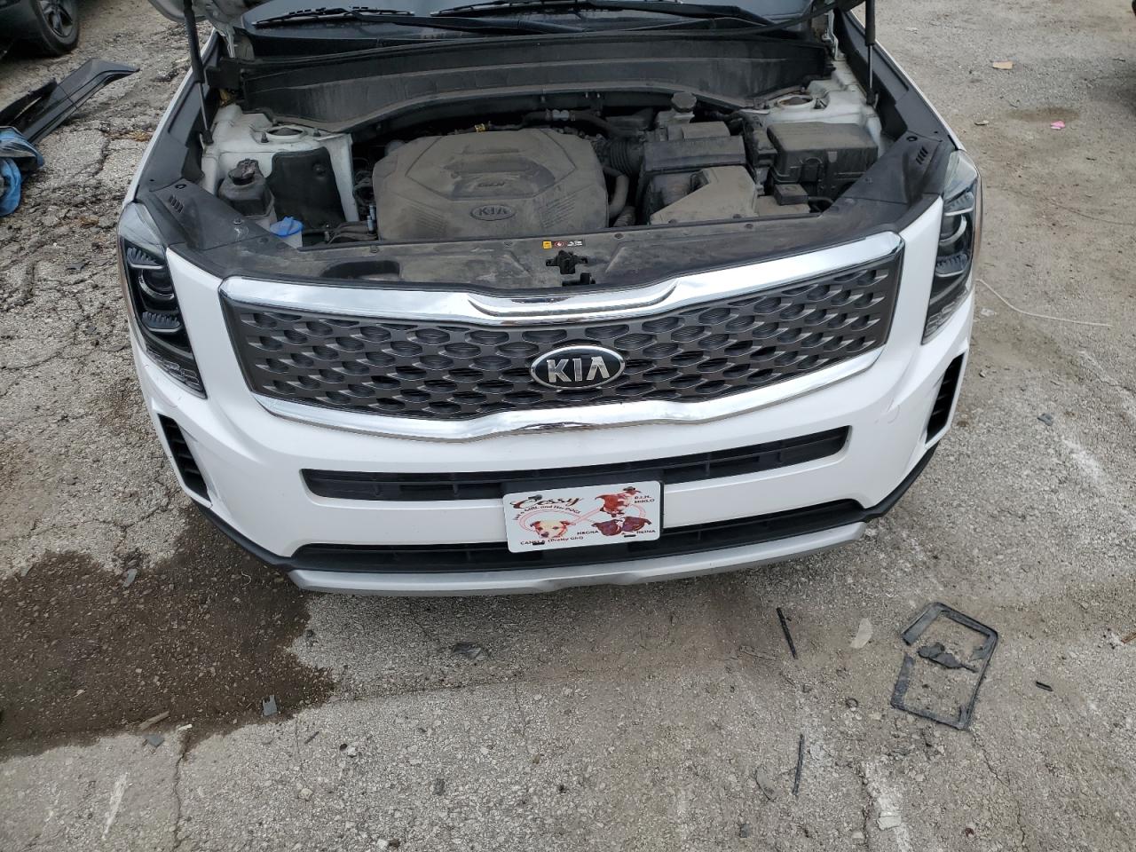 2021 Kia Telluride Lx VIN: 5XYP2DHC2MG163344 Lot: 71082615