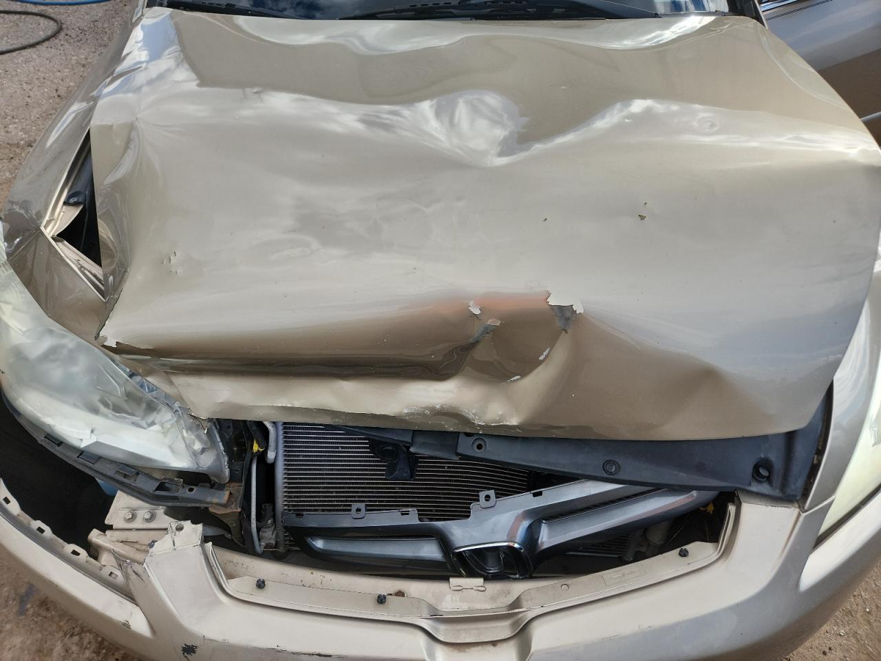 2005 Honda Accord VIN: 1HGCM56425A091798 Lot: 81888415