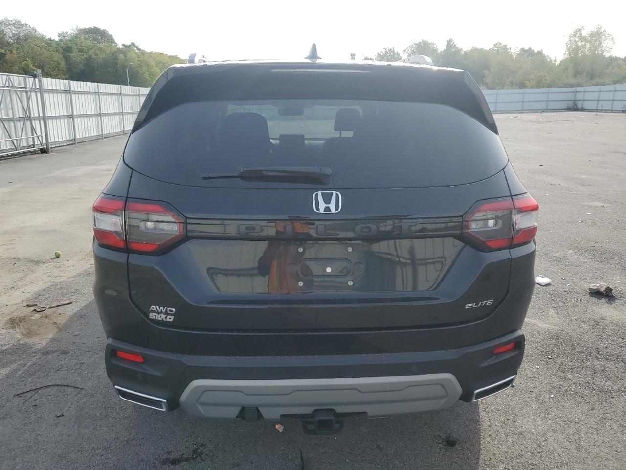 2023 Honda Pilot Elite VIN: 5FNYG1H87PB030302 Lot: 84831925